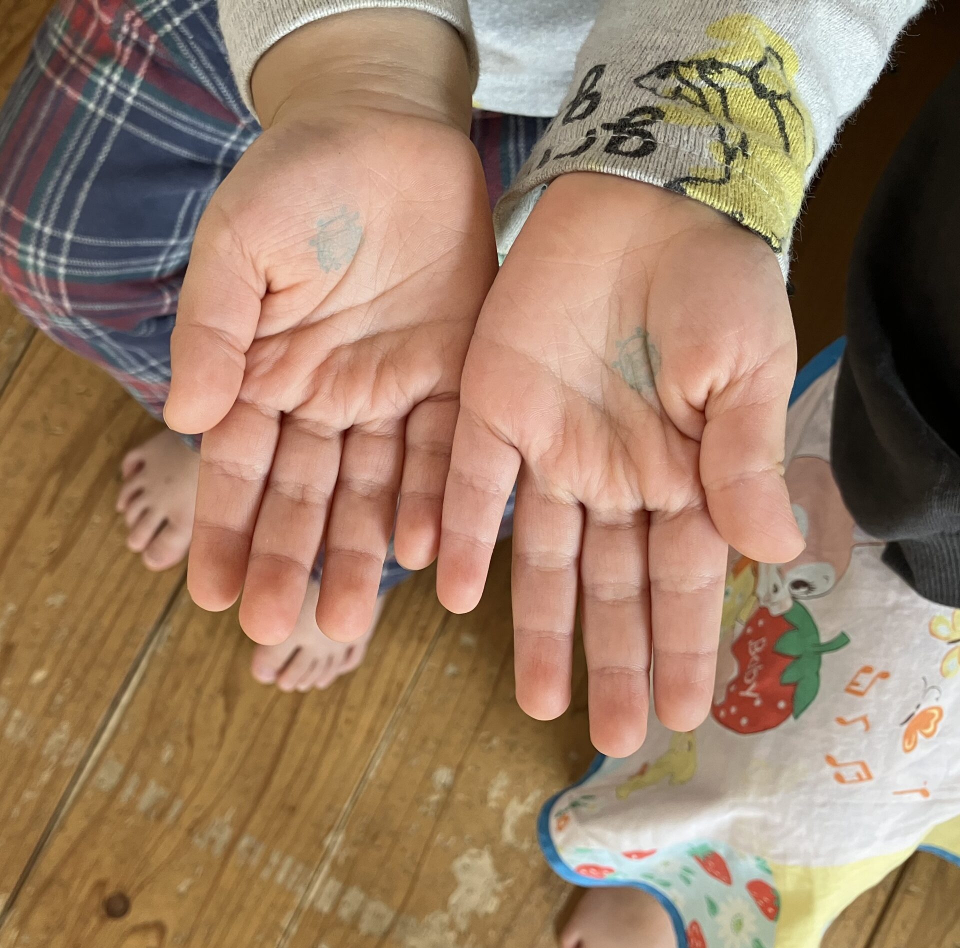 てあらい指導.。o○