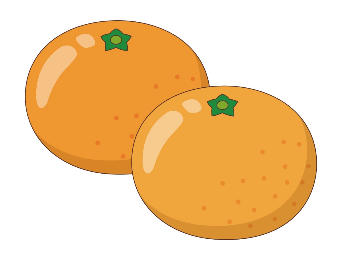 とっても甘いみかんをもらったよ！🍊