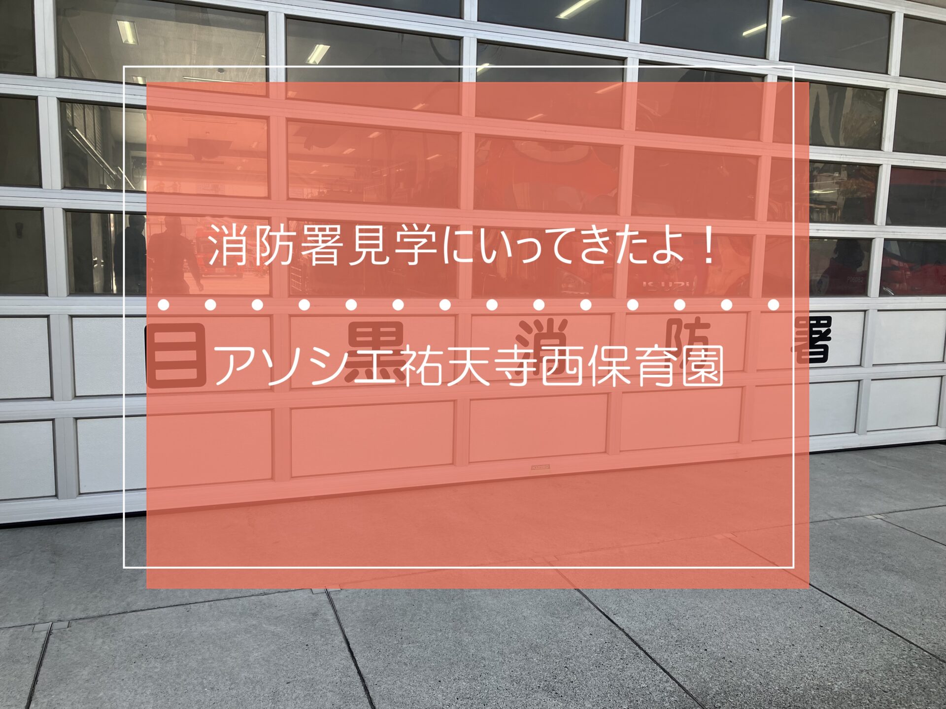 消防署見学に行ったよ！