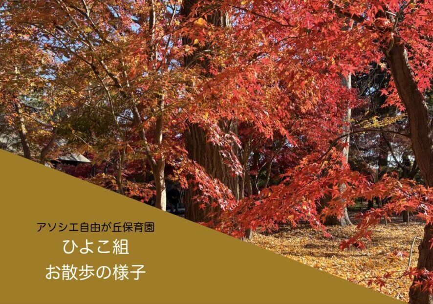 葉っぱで遊ぼう