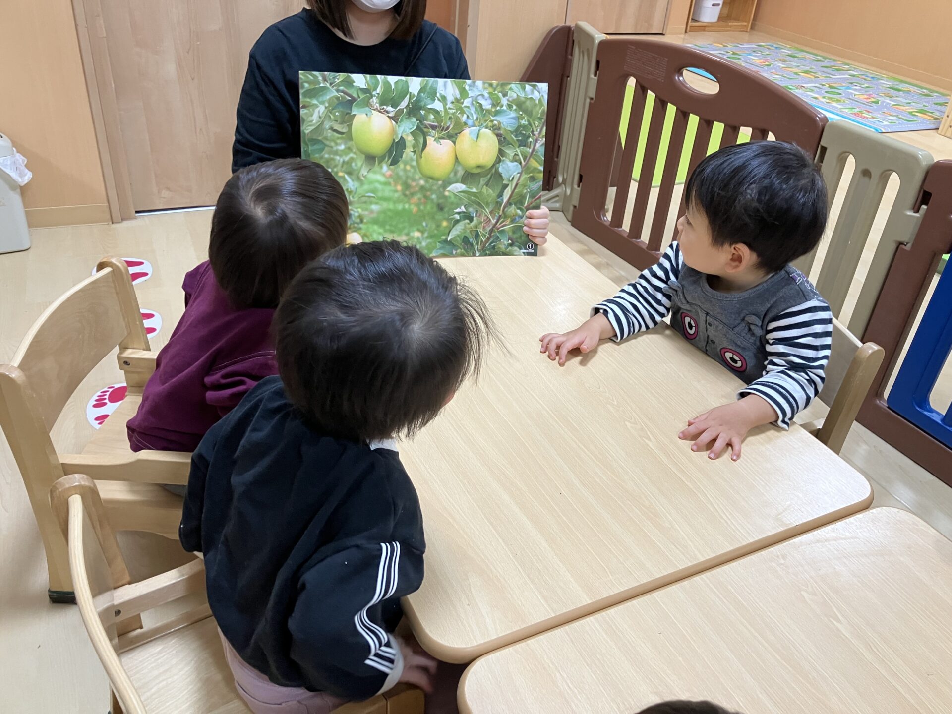 【食育】りんご