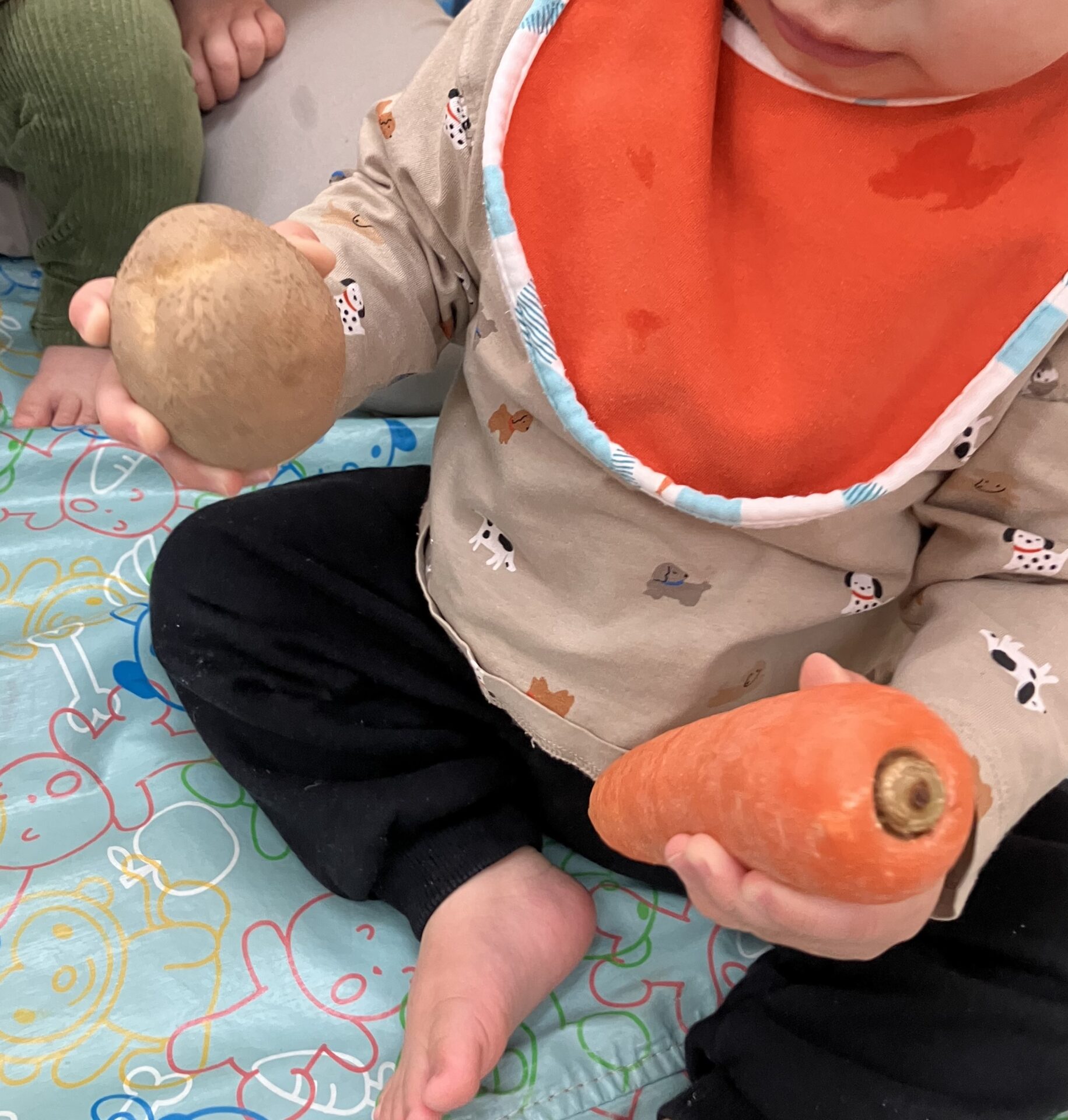 0歳児食育　カレーの野菜を触ってみよう🥕