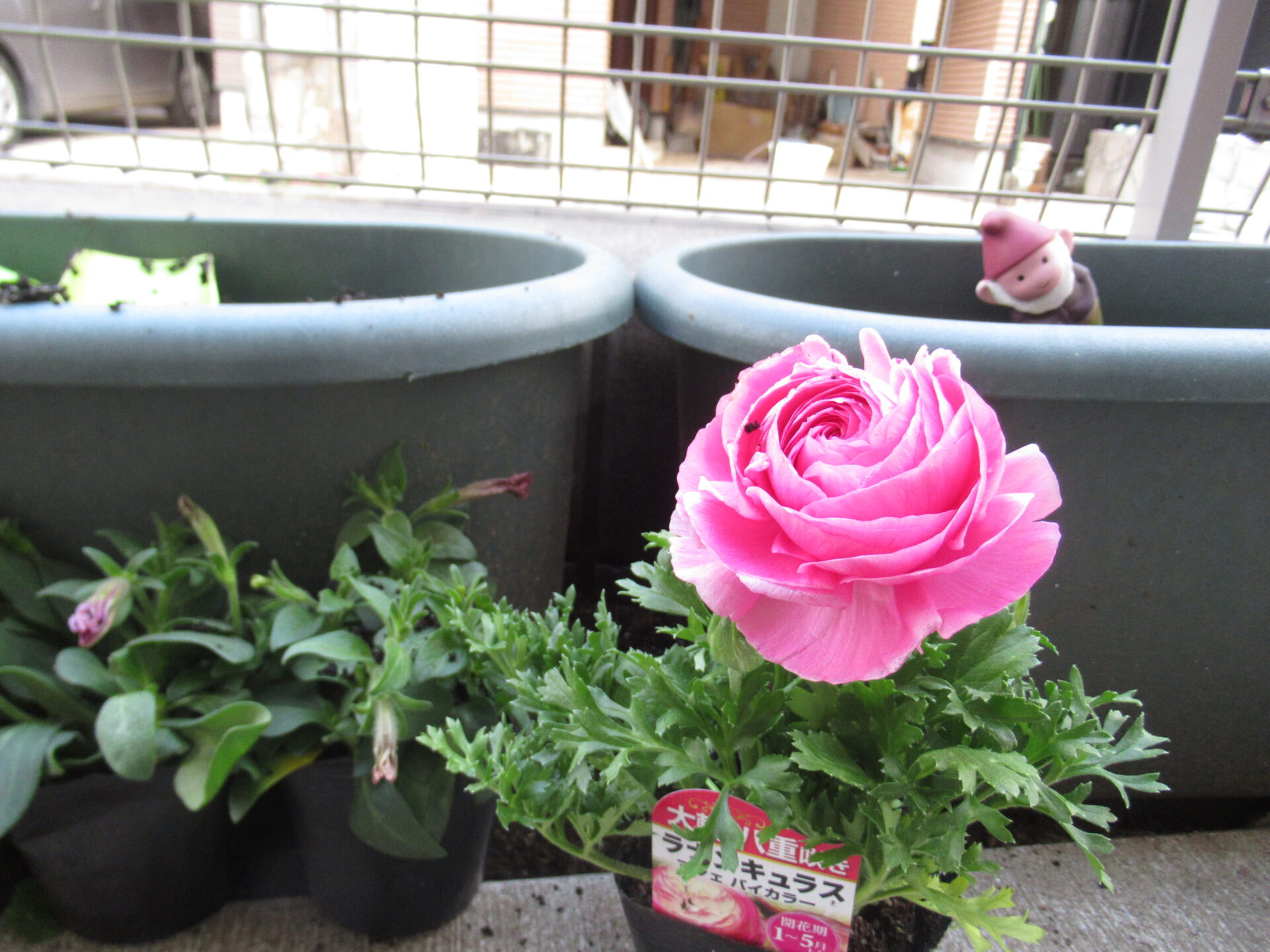 すくわく活動🌼