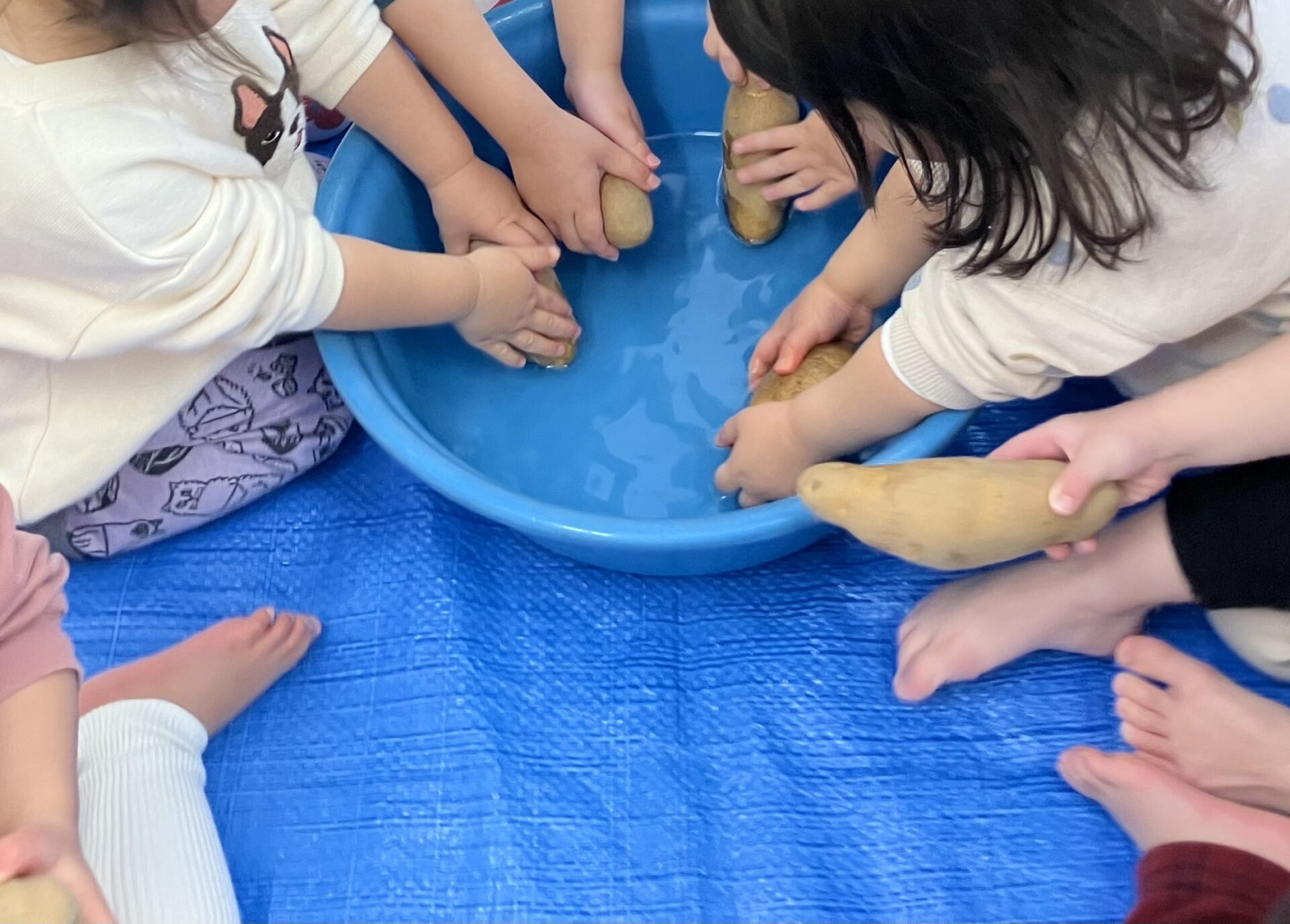 ⁂2月の食育活動（こあら組）