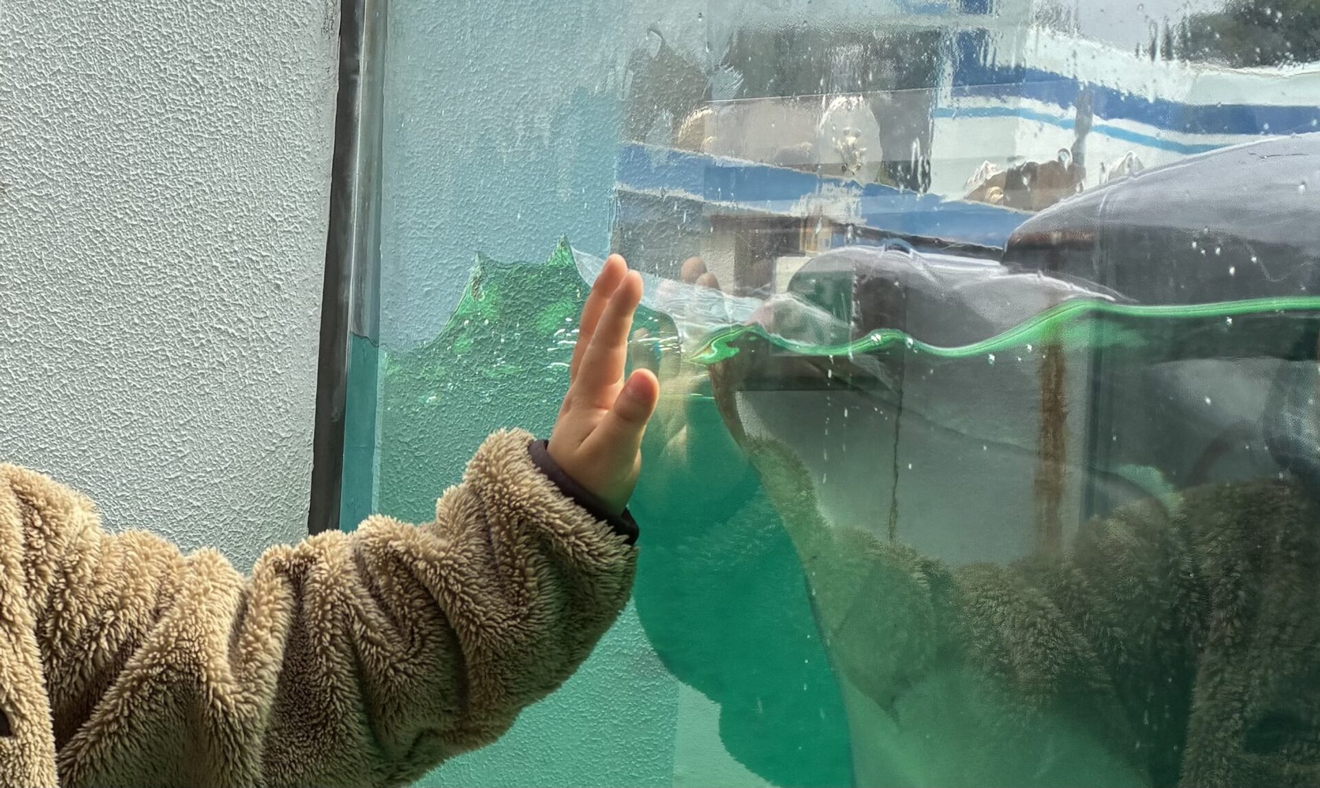 🎒🐧　おもいで　🐬💦