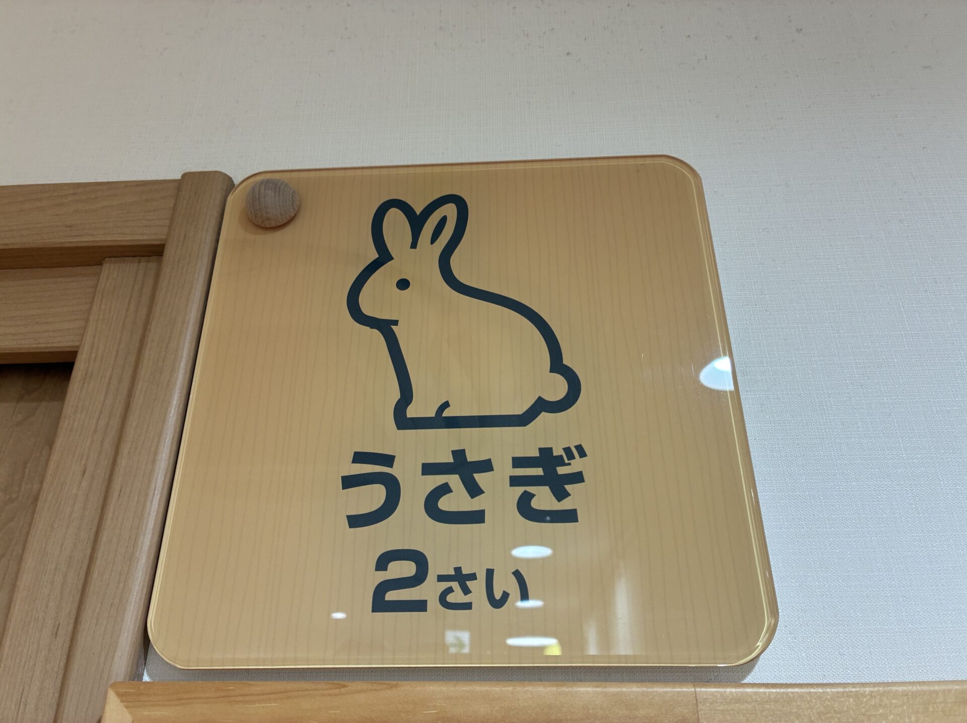 新しいクラスへお引越し🐨🐰