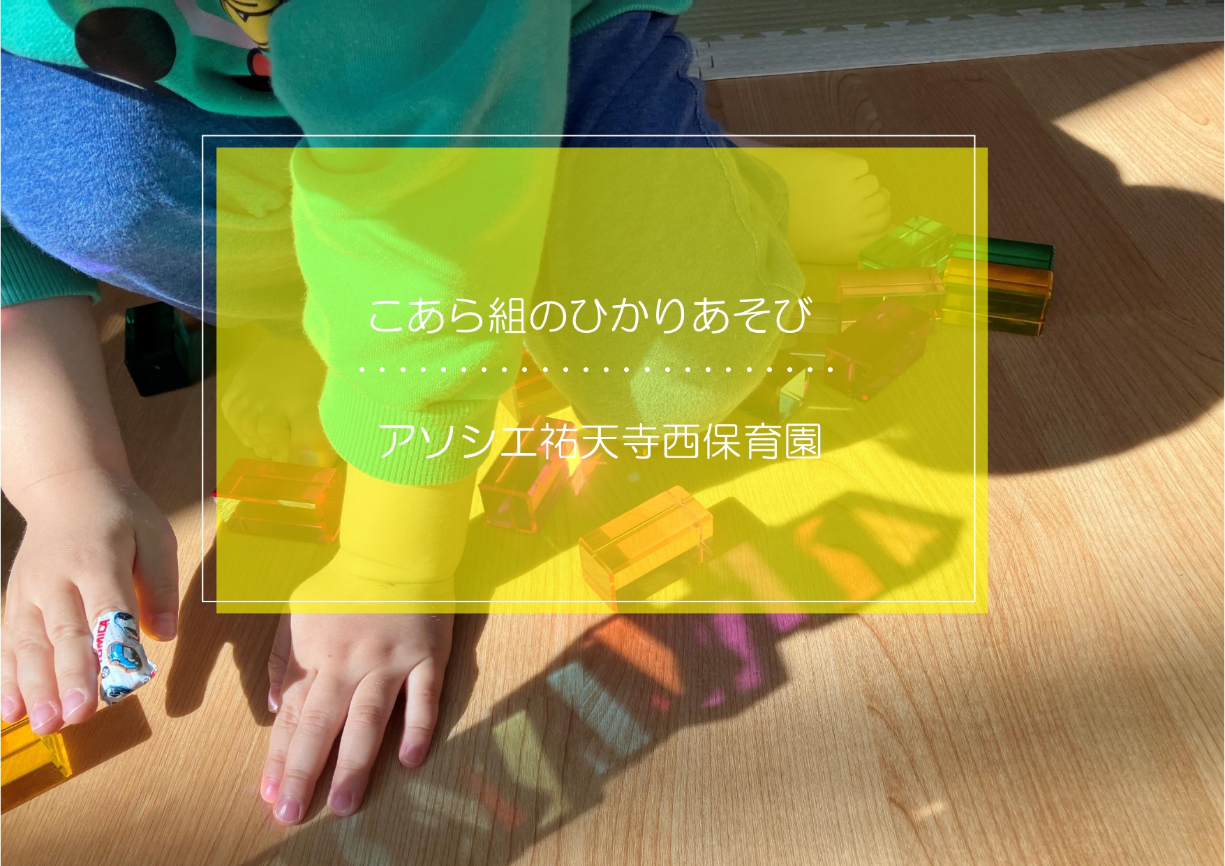 こあらぐみの光遊び✨