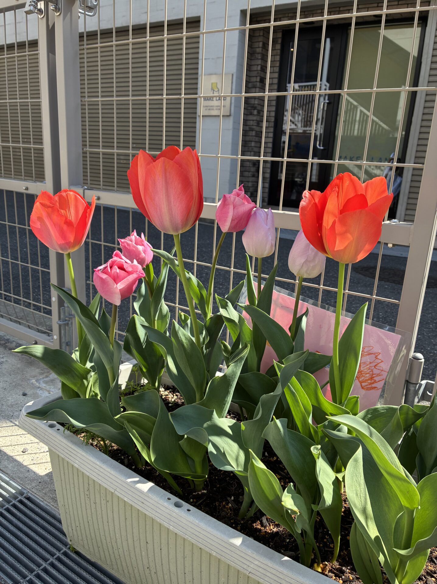 ☆新年度が始まりました☆