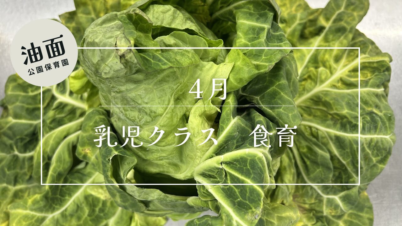 【油面】4月　乳児クラス食育🥄