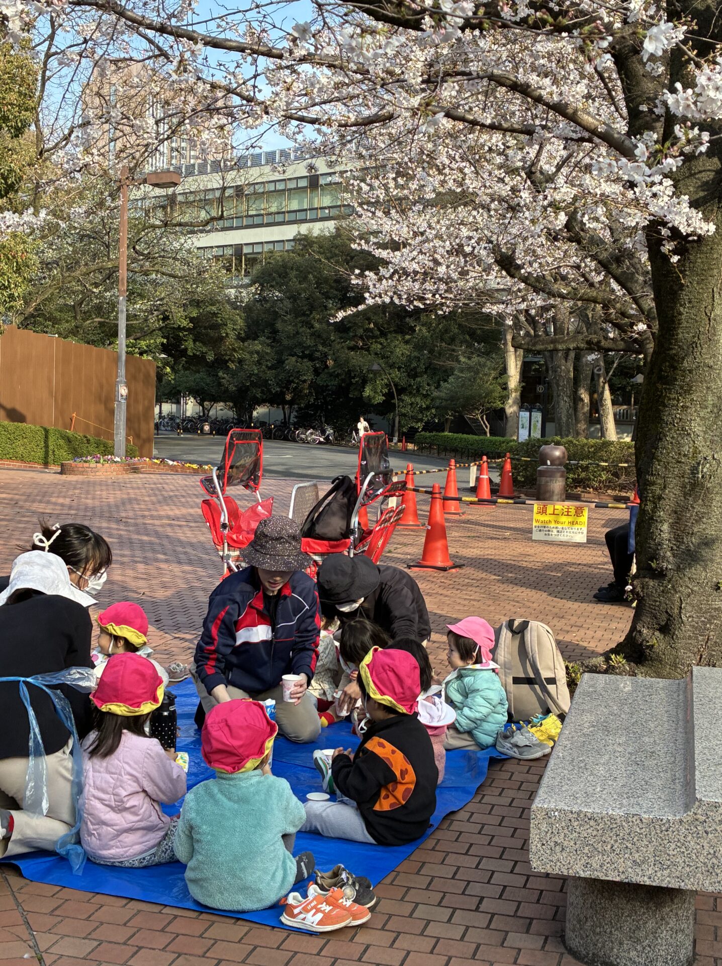 みんなでお花見