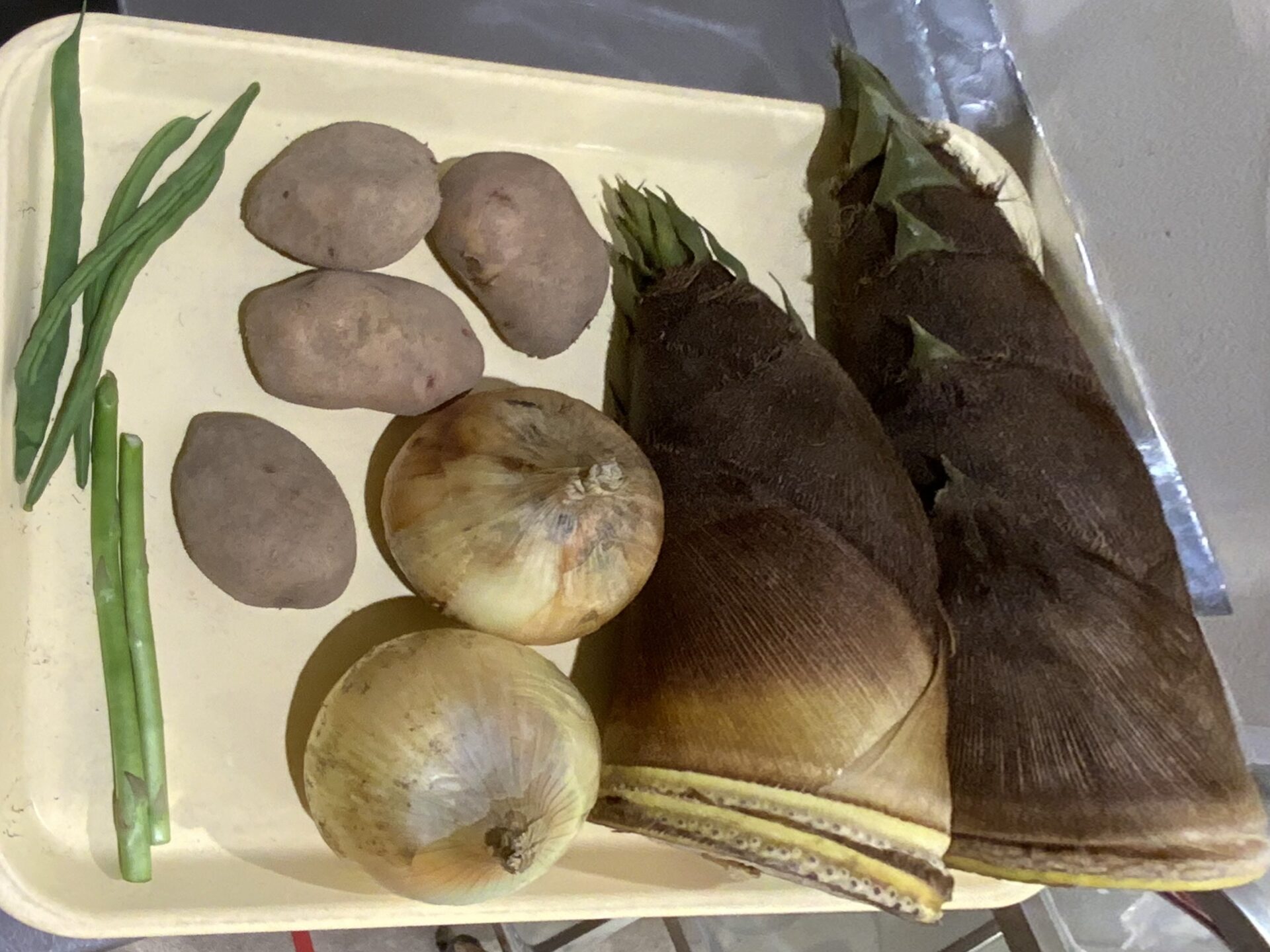 ⁂4月の食育活動(こあら組、うさぎ組)