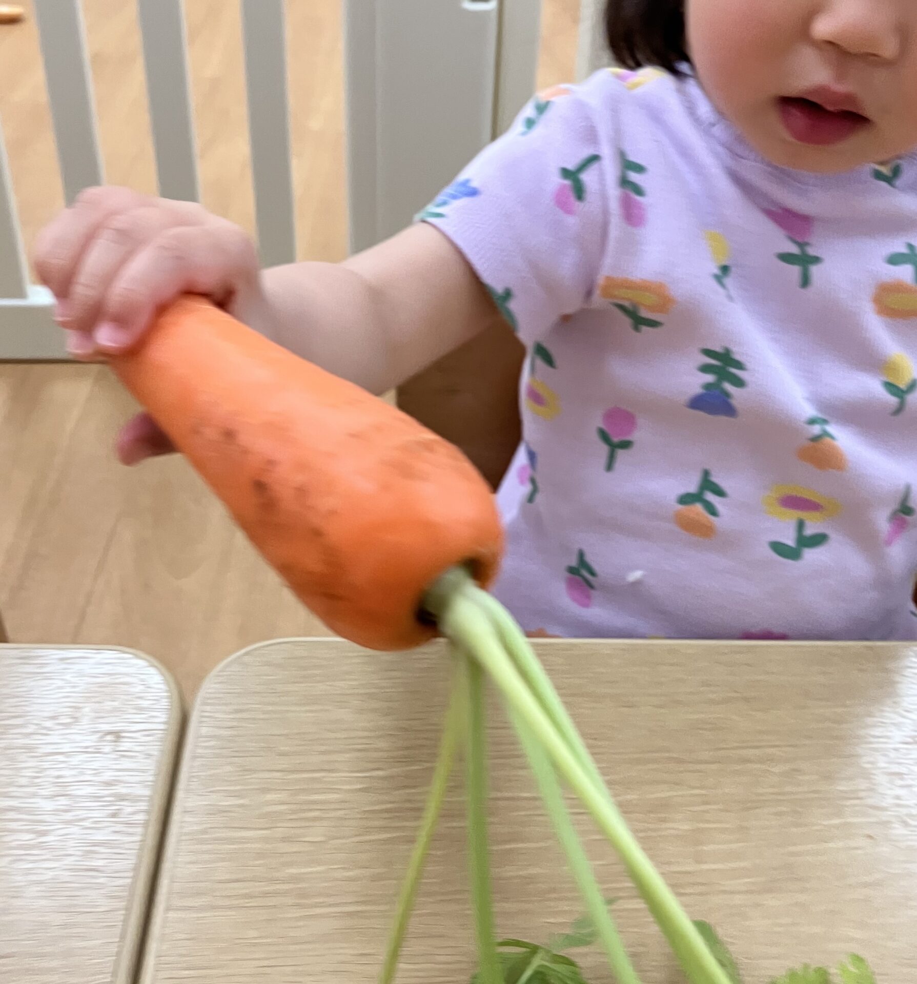 ⁂１歳児食育　葉付き人参を触ってみよう🥕