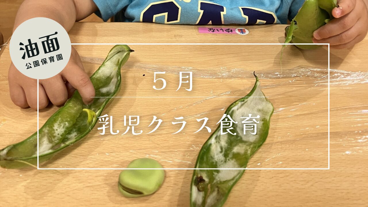 【油面】　5月　乳児クラス食育🥬