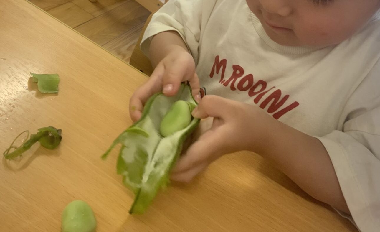 ⁂5月の食育活動(こあら組、うさぎ組)