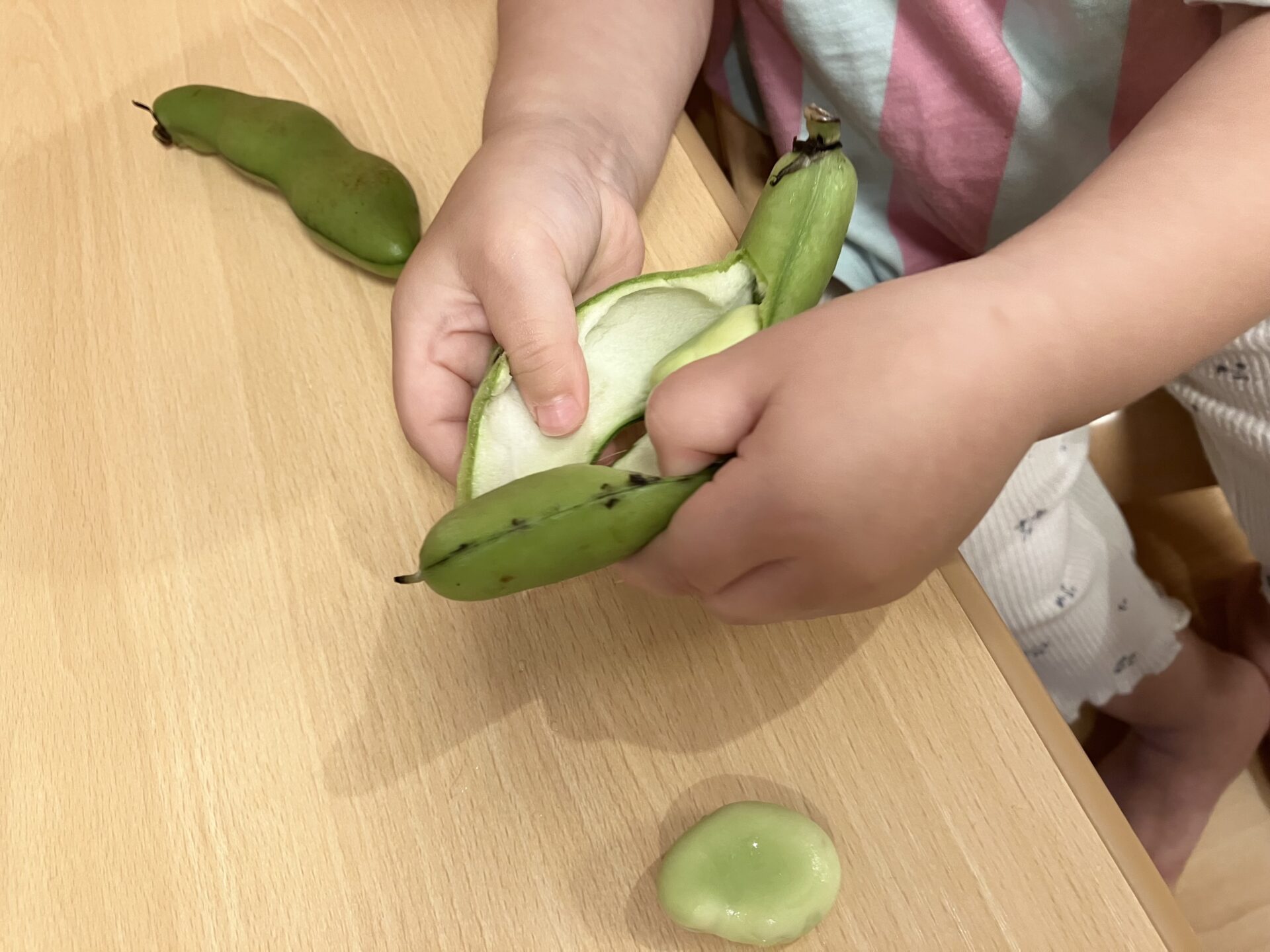 ⁂5月　乳児クラス食育活動