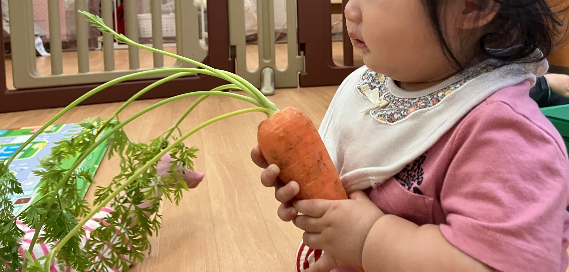 ⁂０歳児食育　にんじんに触ってみよう