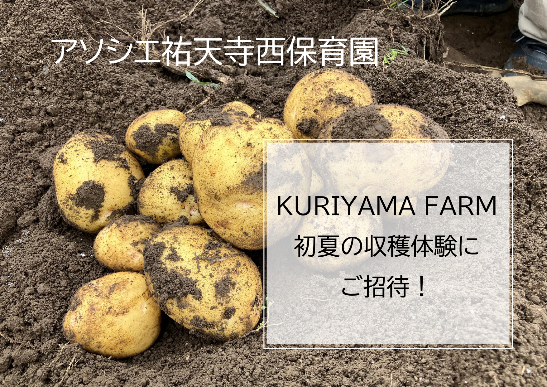 【告知】収穫体験に参加しませんか？