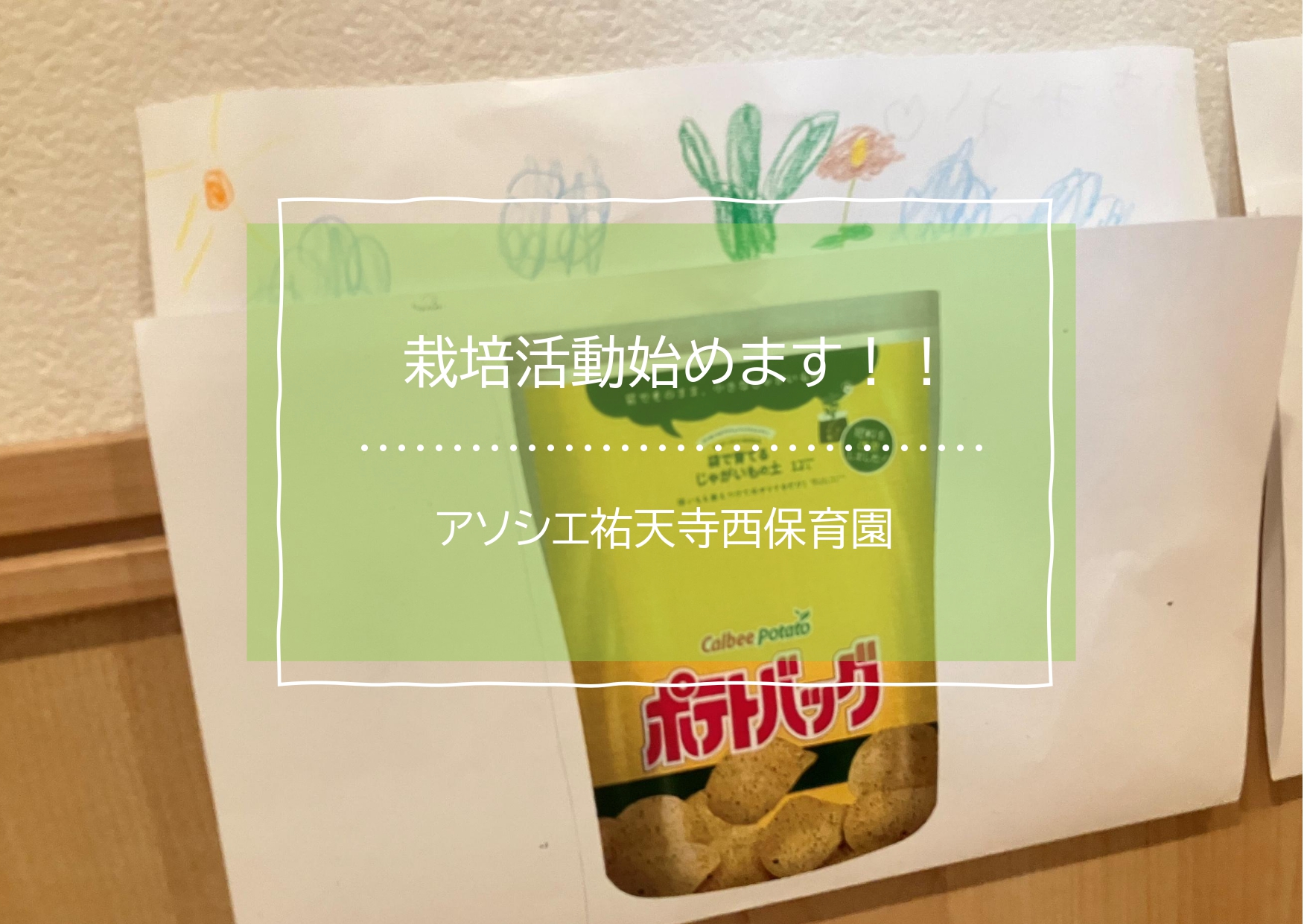 栽培活動始めました！！