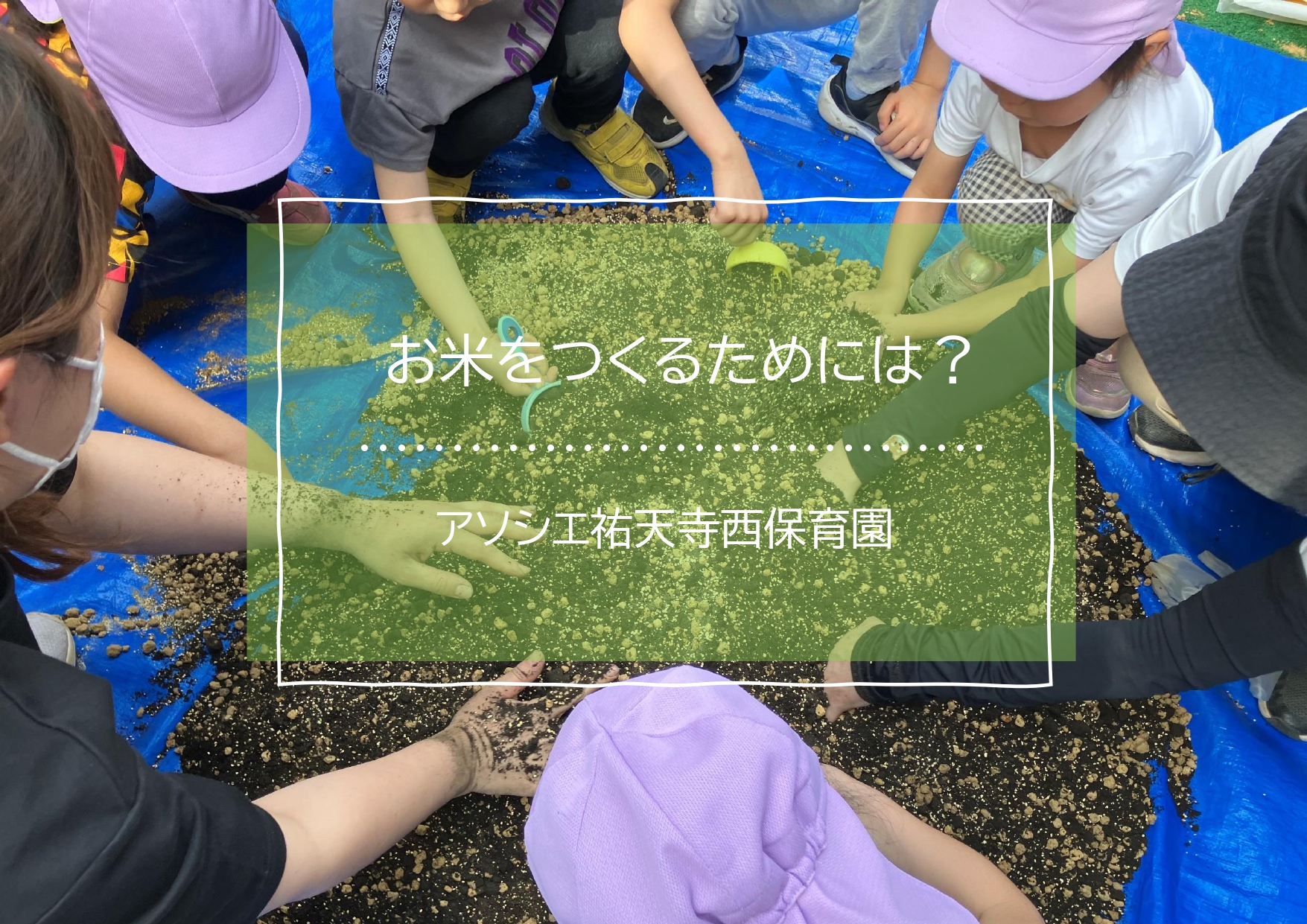 お米を作るためには？