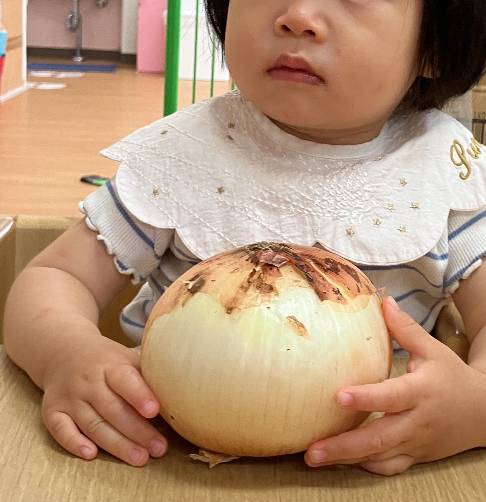 ⁂１歳児食育　玉ねぎの観察
