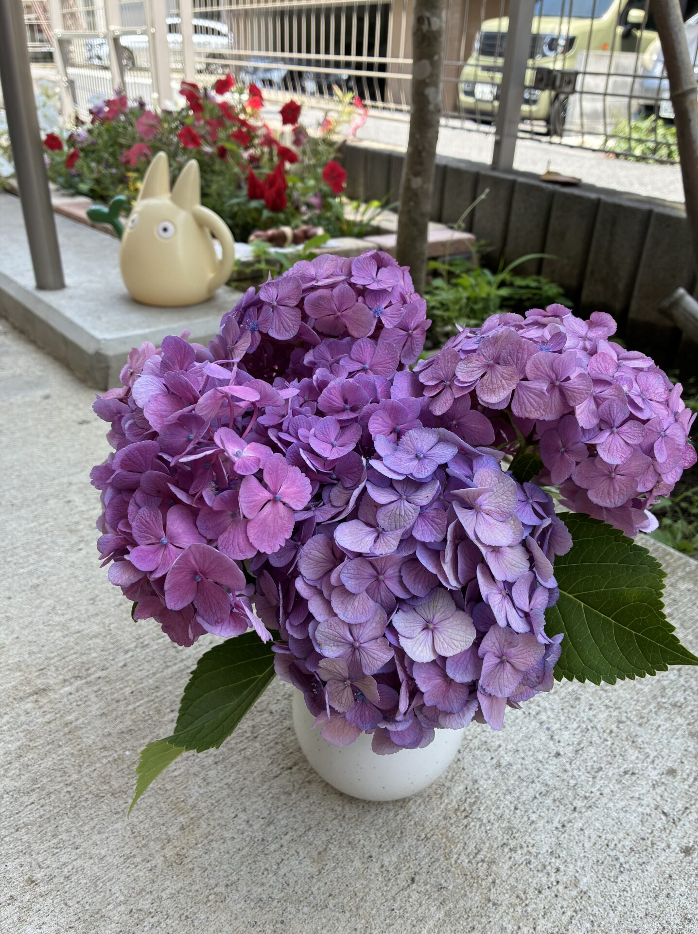 きれいだね😊