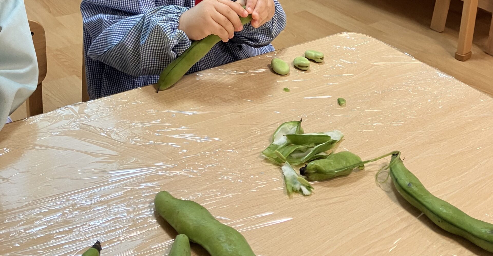 ⁂５月食育活動～そら豆を触ろう～