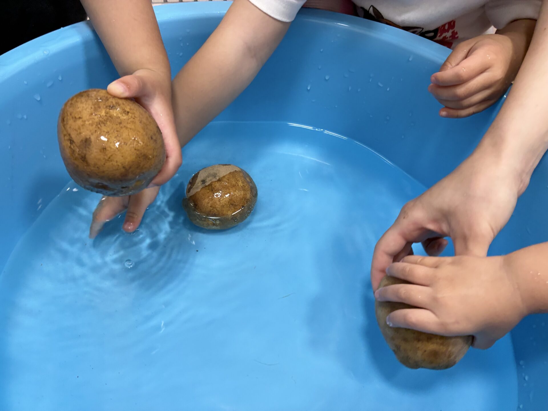 ⁂6月　乳児クラス食育活動