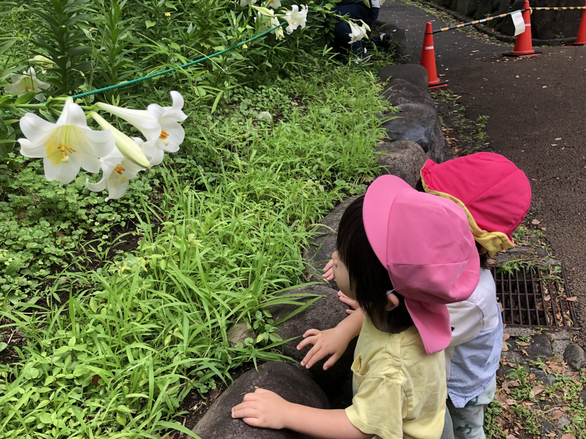 日比谷公園で梅雨散歩