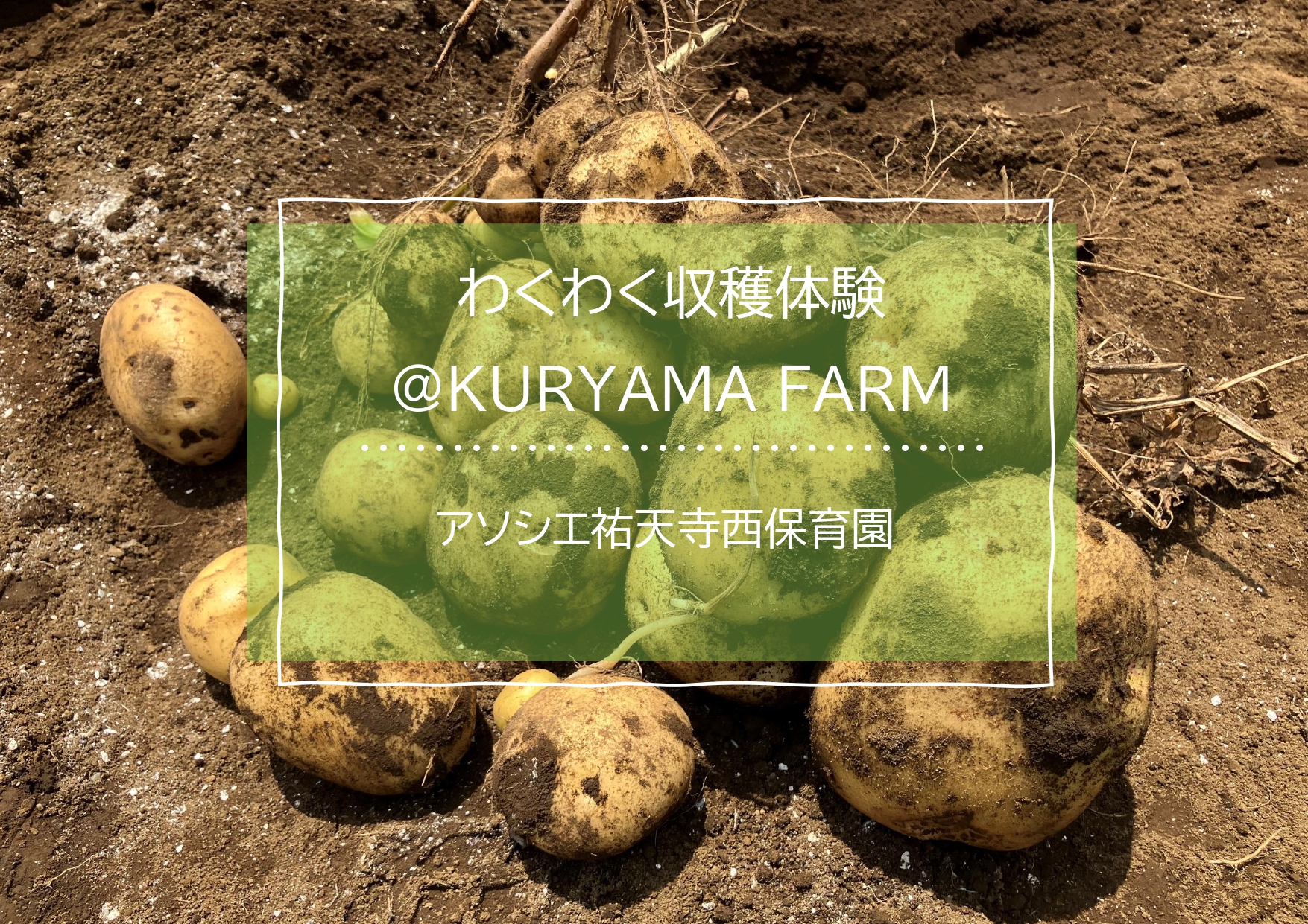 わくわく収穫体験🥔＠KURIYAMA FARM