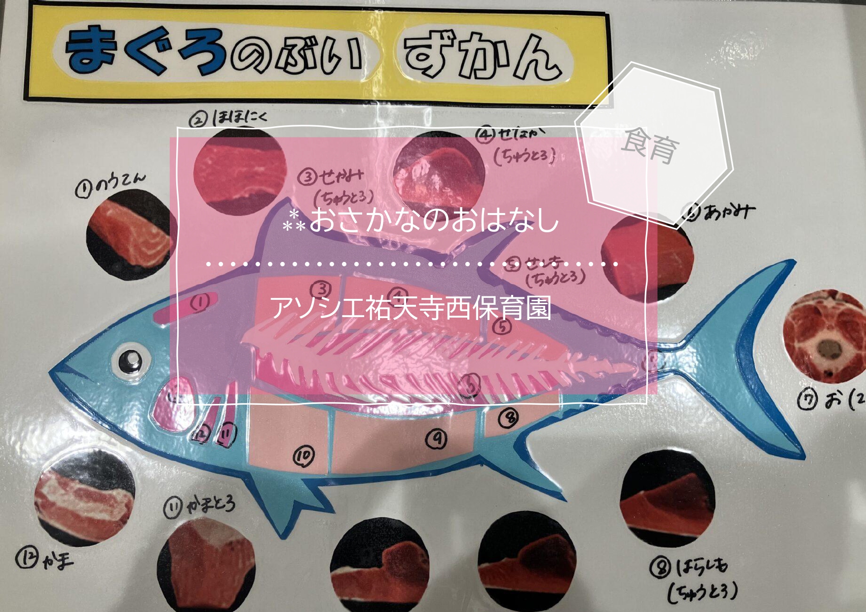 ⁂お魚の食育