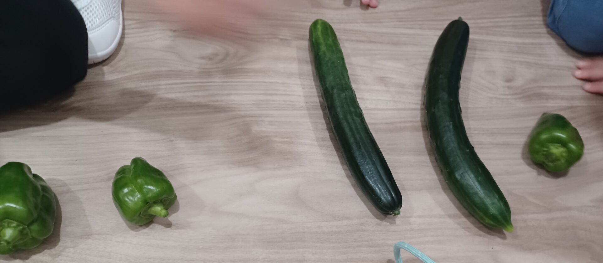 たくさん採れたよ！