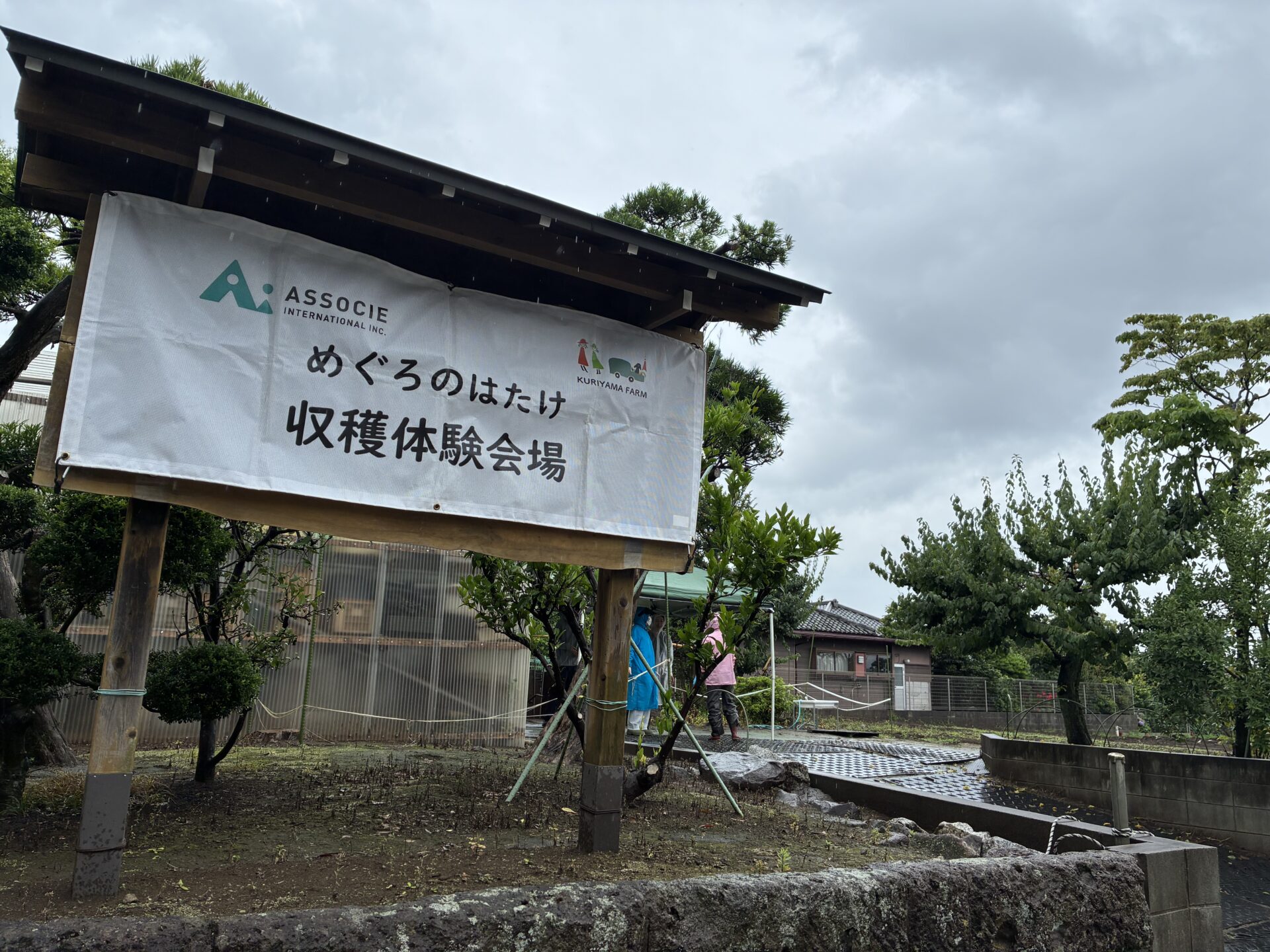 ２０２６年度収穫体験☆