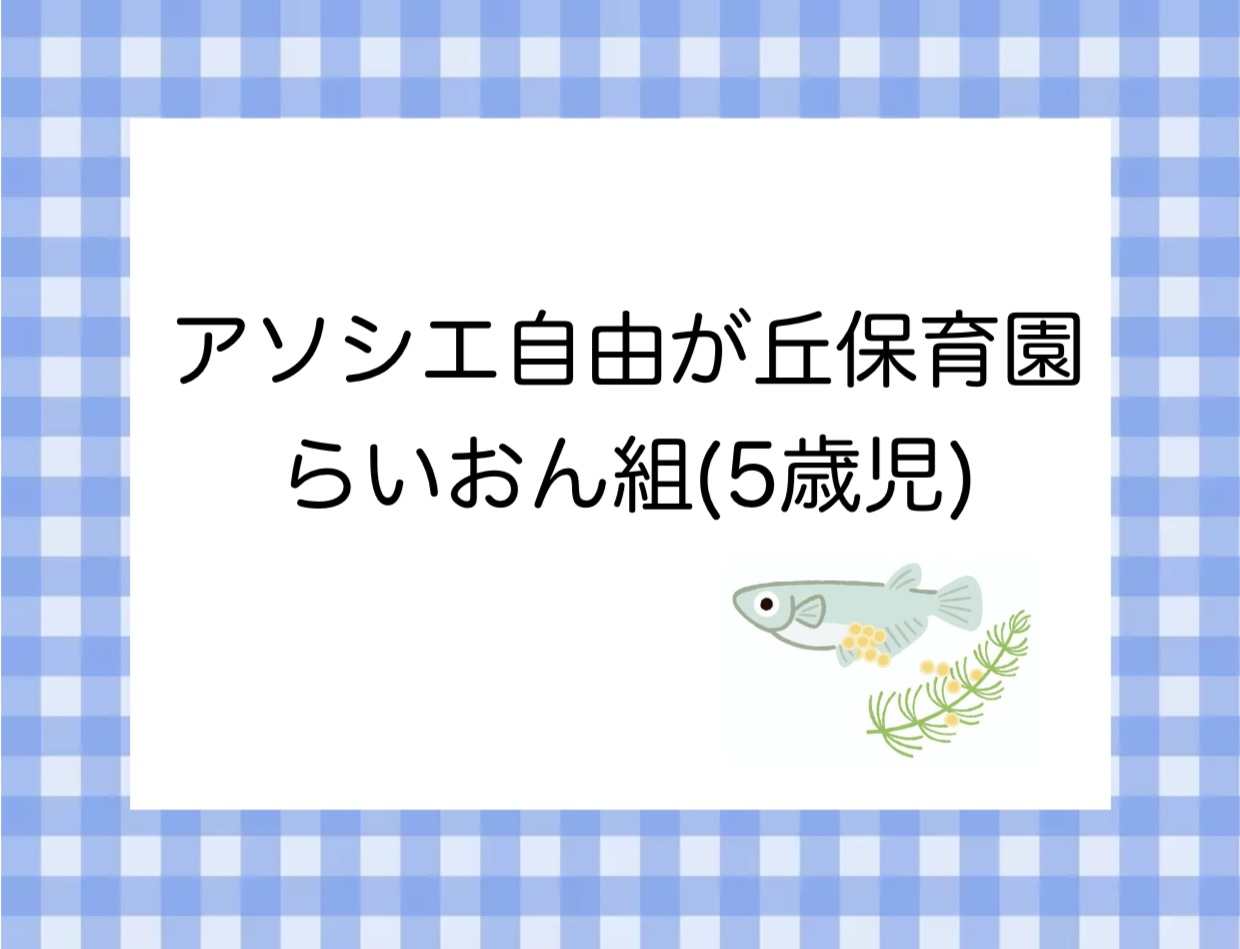 小さな命との出会い