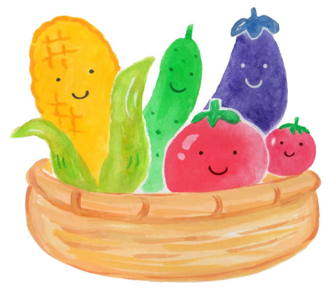 白三　夏野菜を収穫🧺