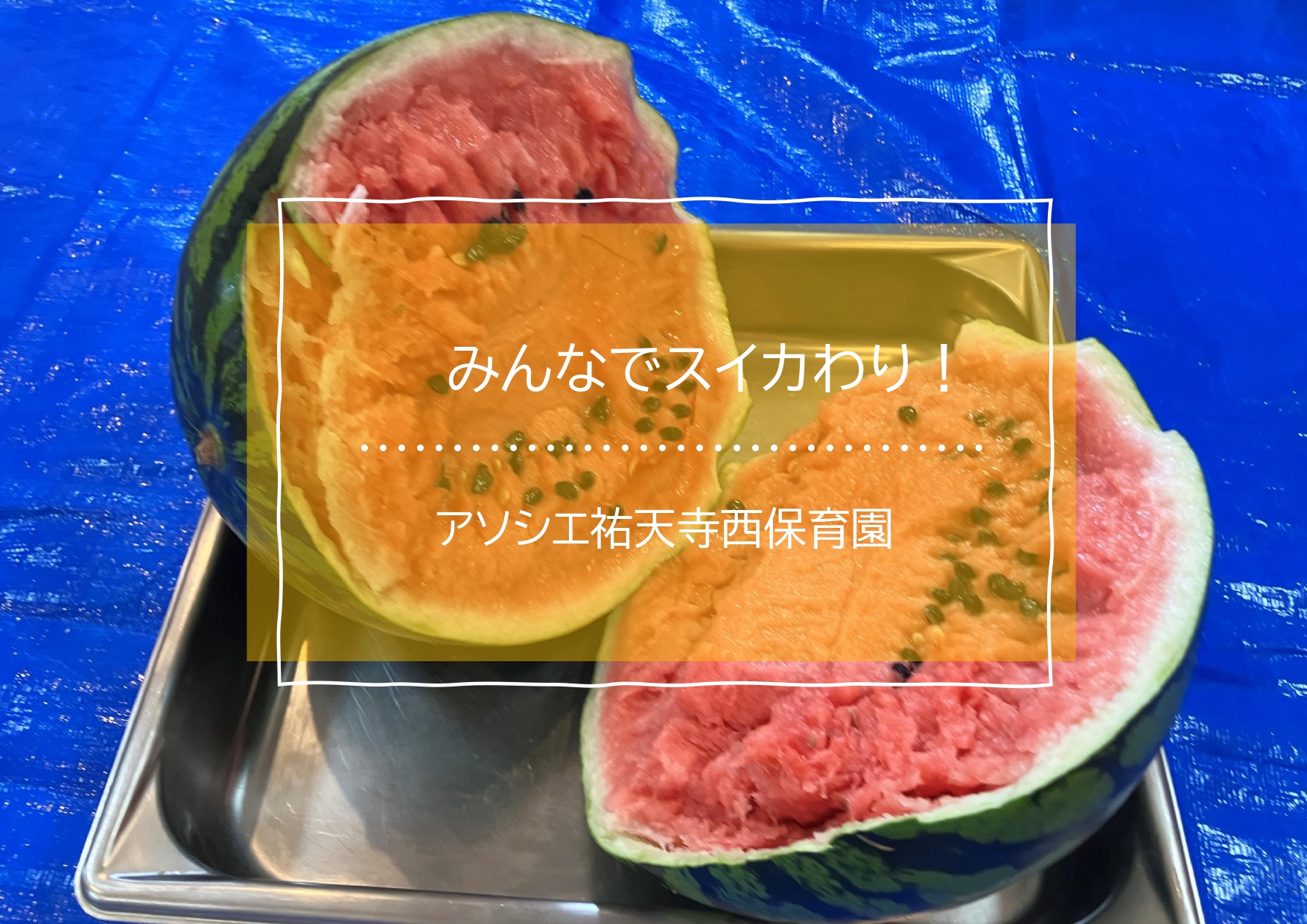 みんなでスイカわり♡