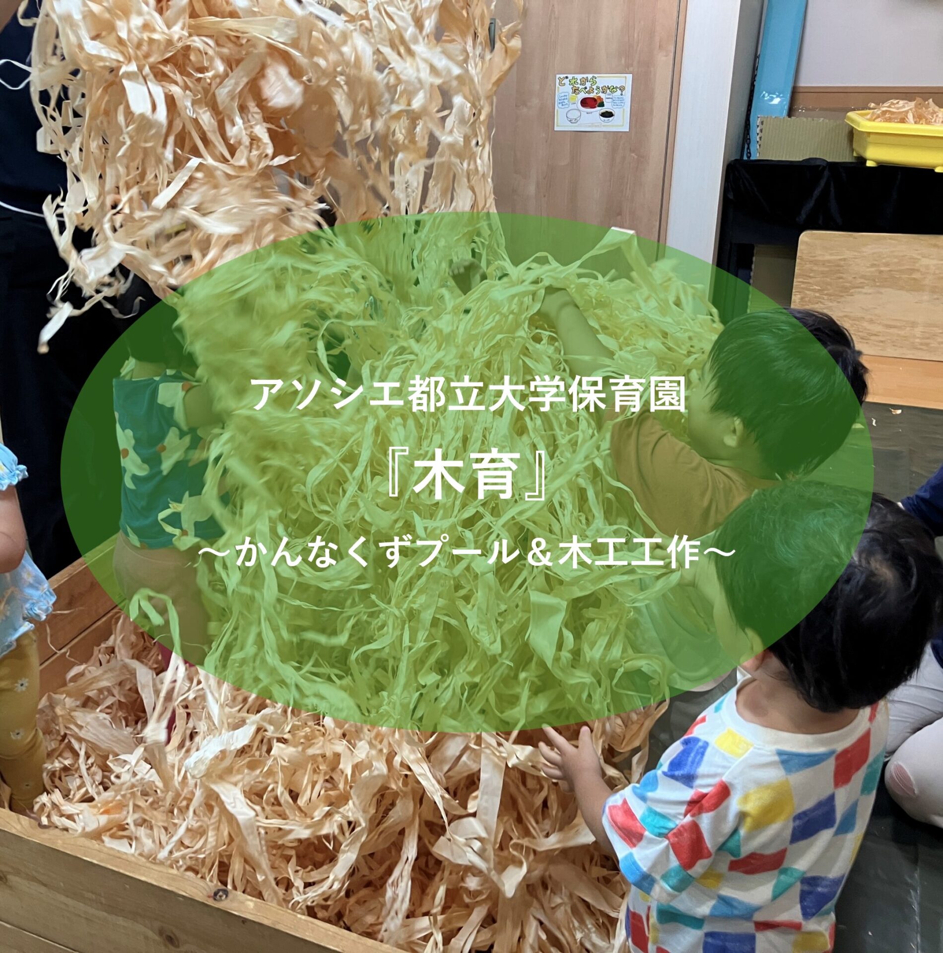 木育～かんなくずプール～