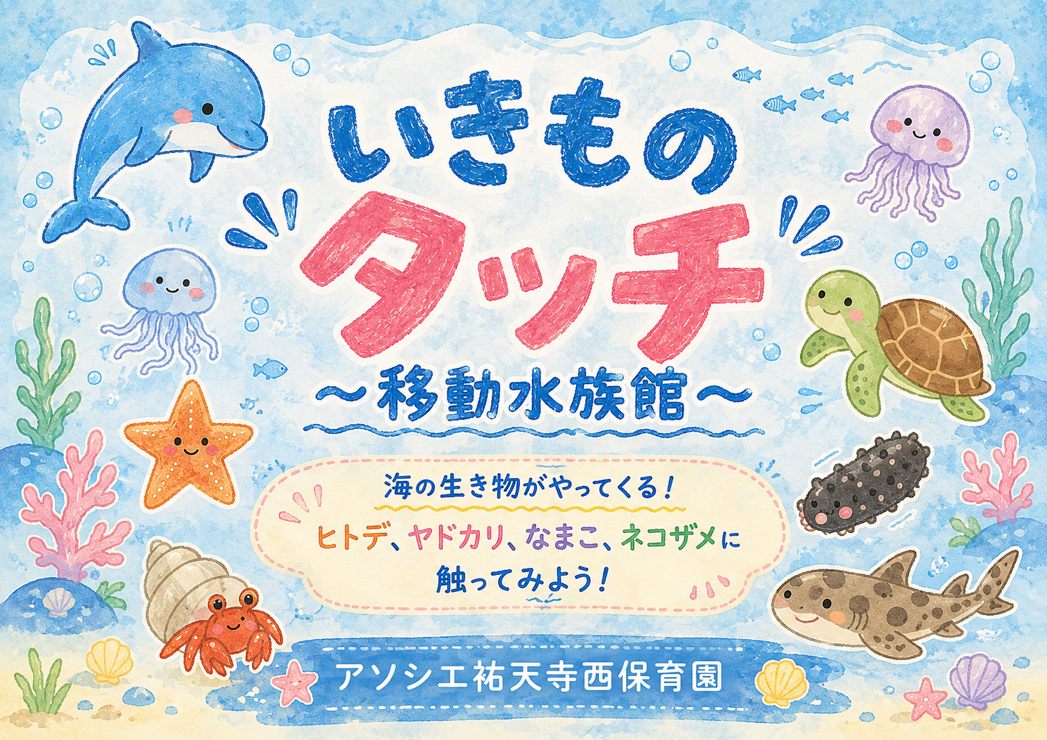 【告知】海の生き物タッチにご招待！