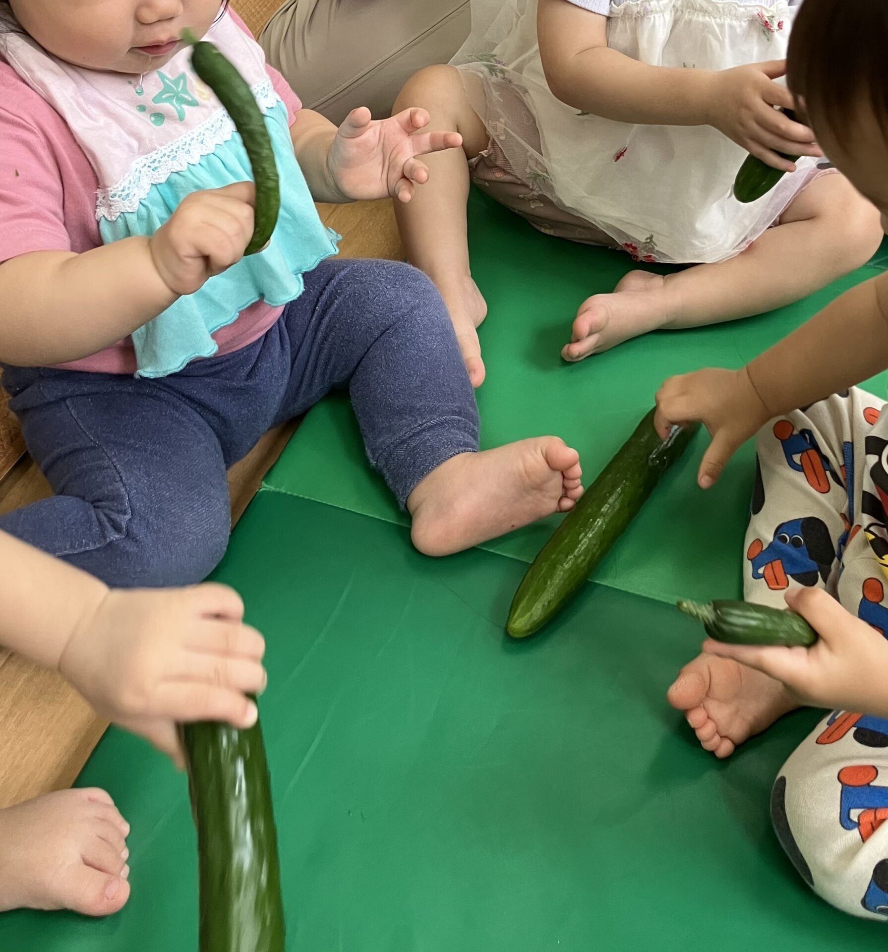 ⁂０歳児食育　きゅうりを触ってみよう！