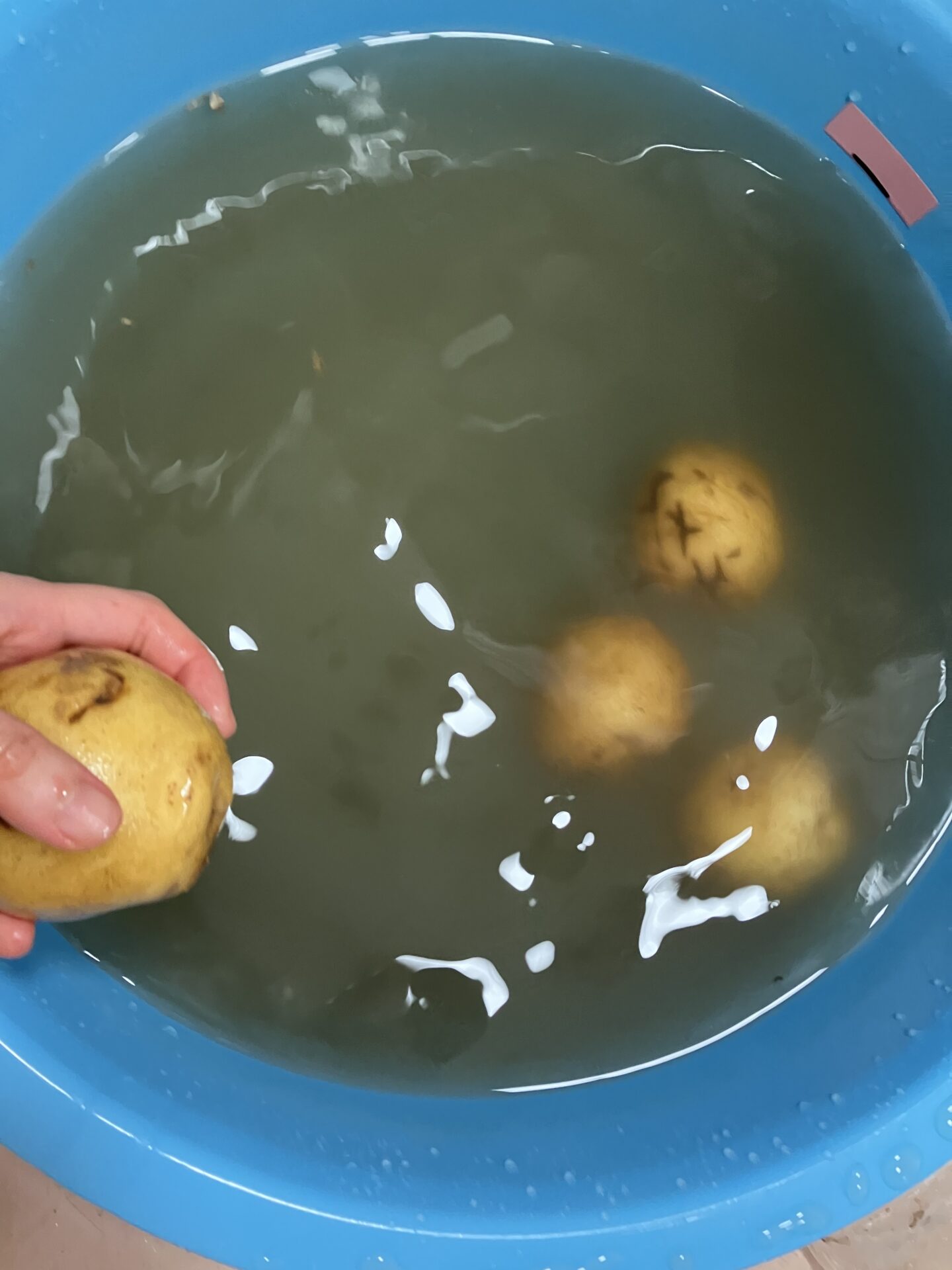 ⁂8月　乳児クラス食育活動