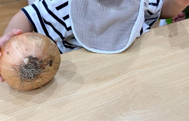 ⁂8月食育活動