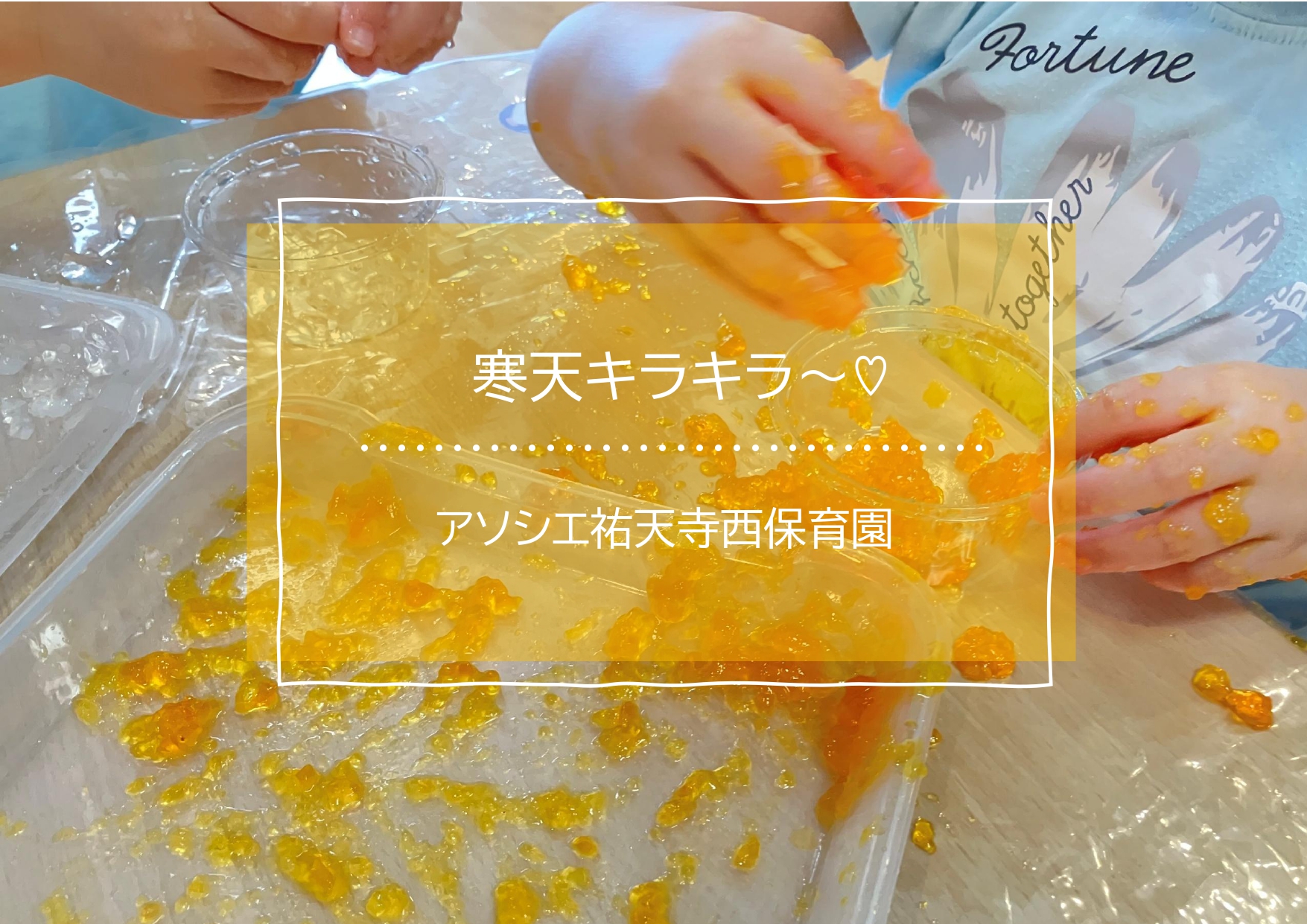 寒天キラキラ～♡